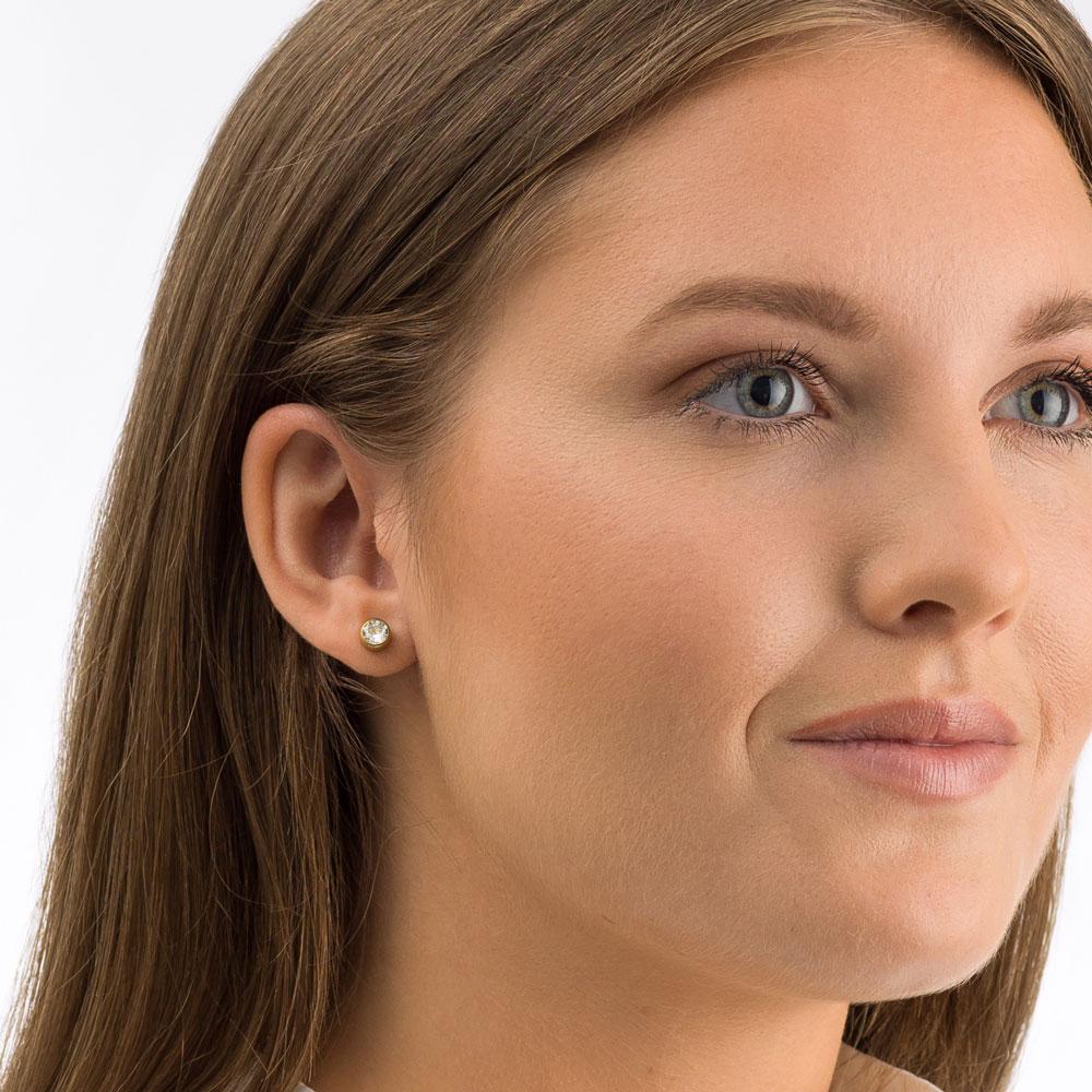 Blomdahl Gold Titanium Mini Earrings | Earrings and Jewellery | Salonserve